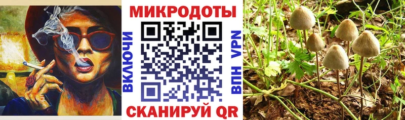 Псилоцибиновые грибы Psilocybine cubensis Купить Новосибирск