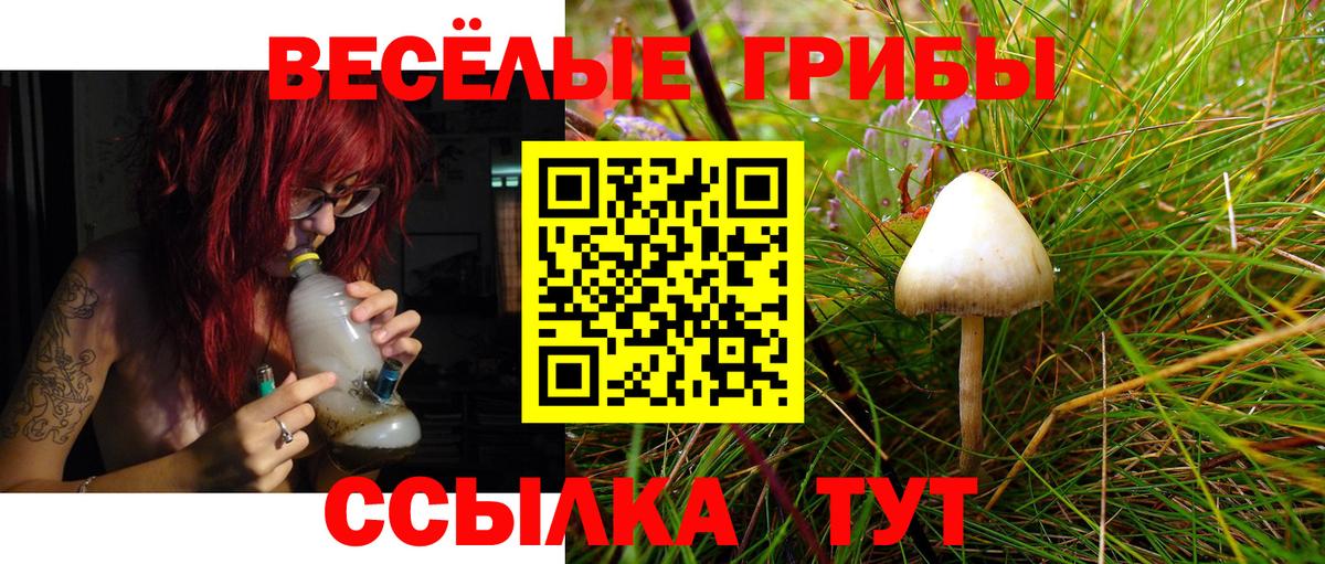 Галлюциногенные грибы Новосибирск