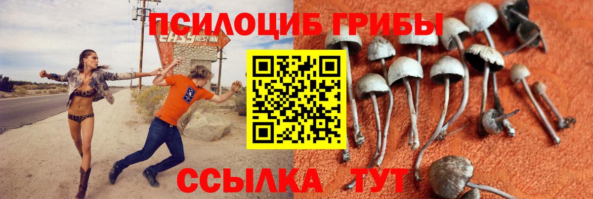Псилоцибиновые грибы Magic Shrooms  Псилоцибиновые грибы Psilocybe  Новосибирск 