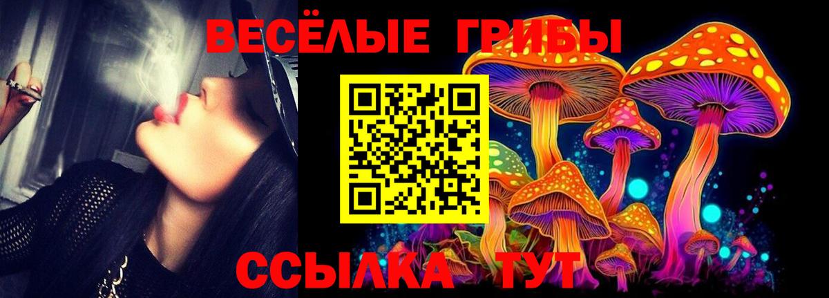 Галлюциногенные грибы мухоморы Новосибирск