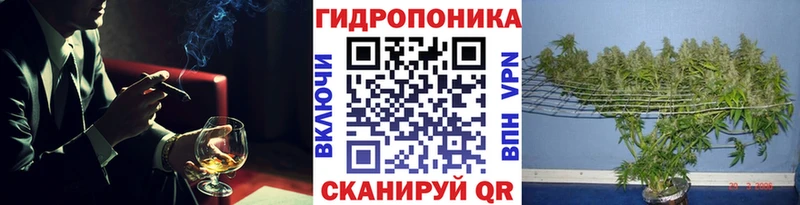 Купить где  Новосибирск  Бошки Шишки семена 