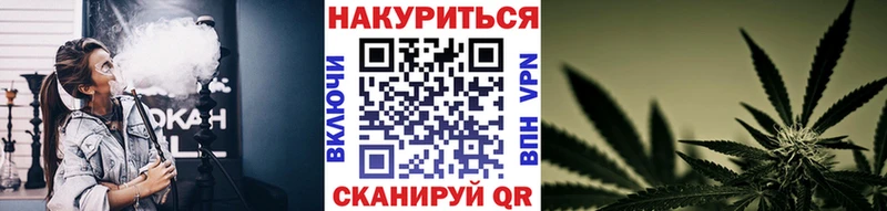 Бошки марихуана ГИДРОПОН Новосибирск